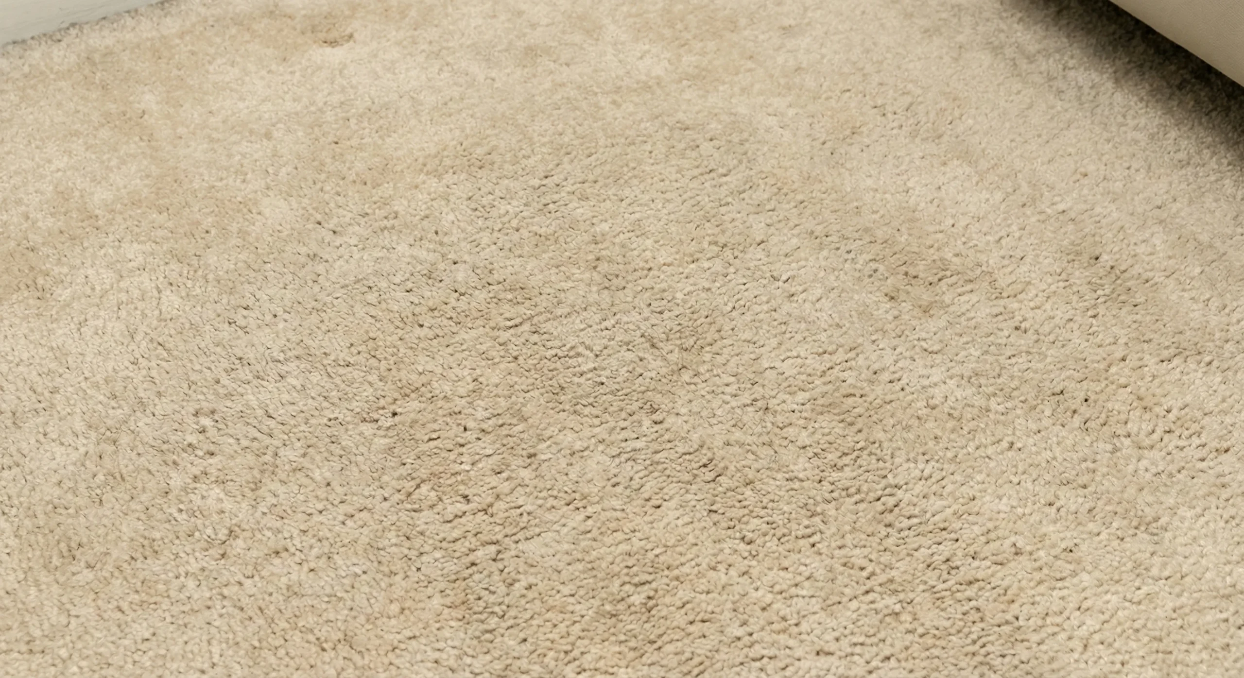 Clean Carpet